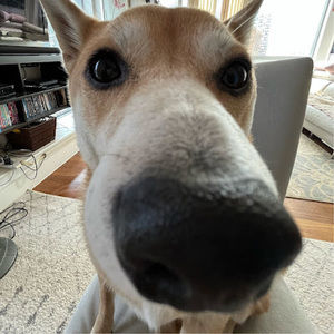 Meet your Posher, Chloe